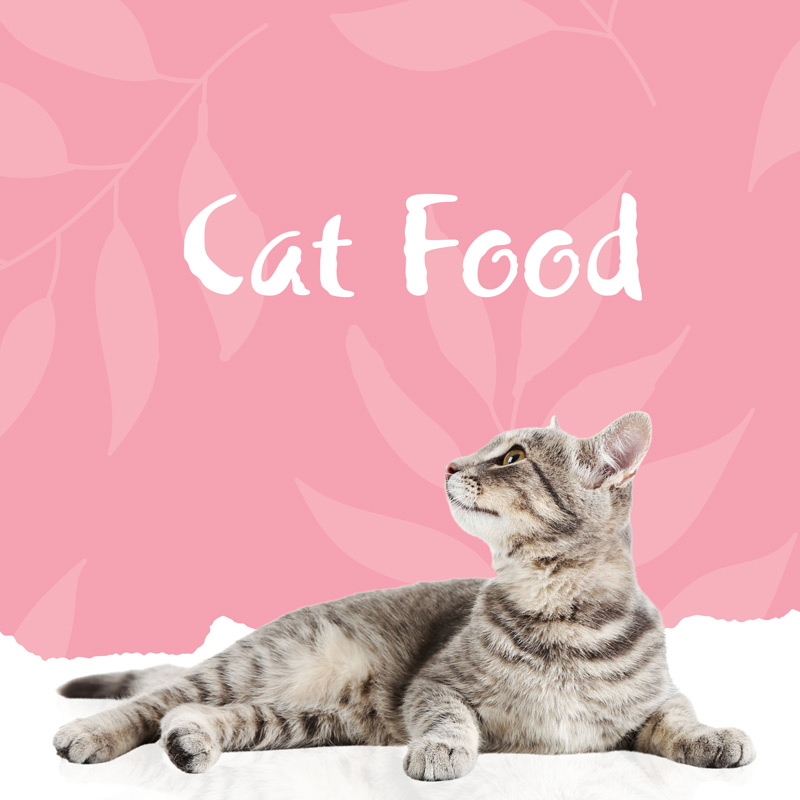 Cat Food