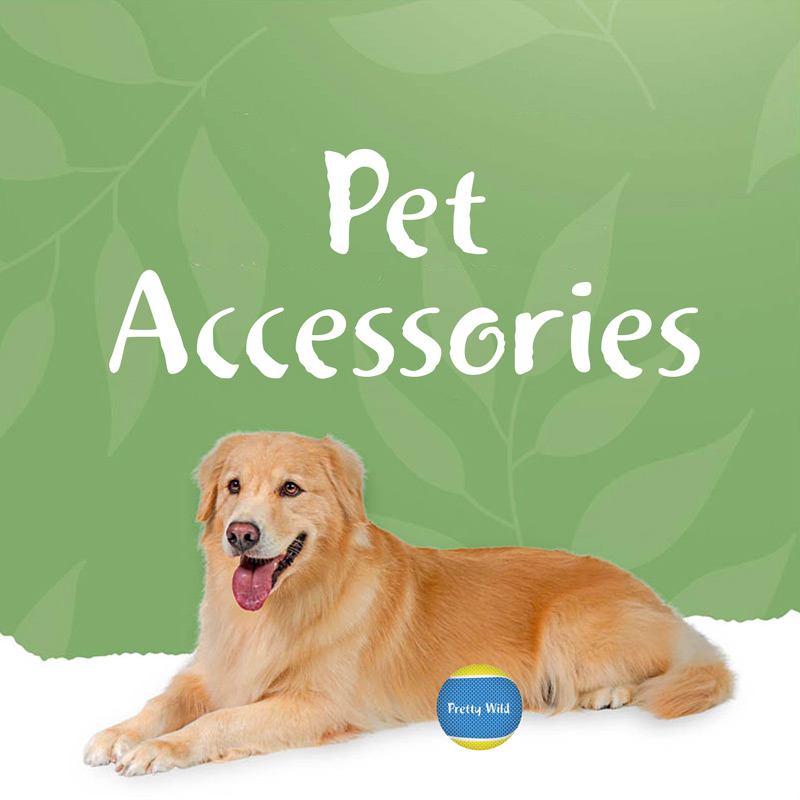 Pet Accessories